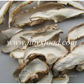 Fatia de cogumelo seco branco orgânico de cogumelo Shiitake